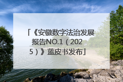 《安徽数字法治发展报告NO.1（2025）》蓝皮书发布