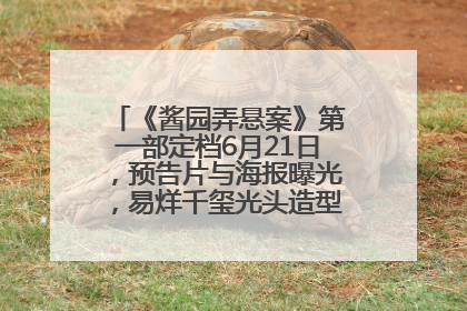 《酱园弄悬案》第一部定档6月21日，预告片与海报曝光，易烊千玺光头造型饰演“周瞎子”