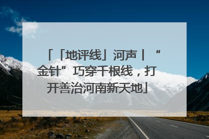 「地评线」河声丨“金针”巧穿千根线，打开善治河南新天地