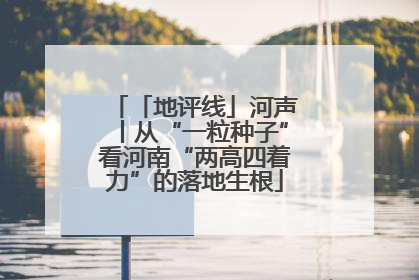「地评线」河声丨从“一粒种子”看河南“两高四着力”的落地生根