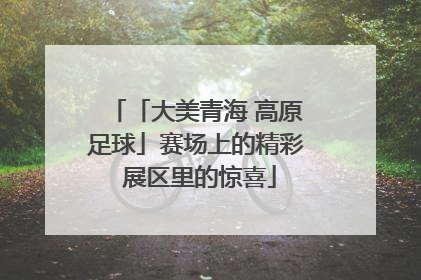 「大美青海 高原足球」赛场上的精彩 展区里的惊喜