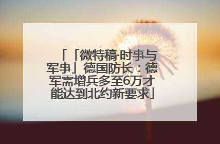 「微特稿·时事与军事」德国防长：德军需增兵多至6万才能达到北约新要求