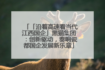 「沿着高速看当代江西国企」黑猫集团：创新驱动，奏响瓷都国企发展新乐章