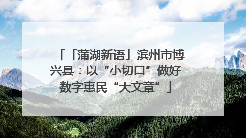 「蒲湖新语」滨州市博兴县：以“小切口”做好数字惠民“大文章”