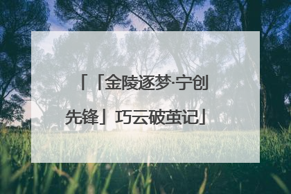 「金陵逐梦·宁创先锋」巧云破茧记