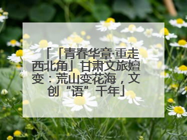 「青春华章·重走西北角」甘肃文旅嬗变：荒山变花海，文创“语”千年