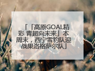 「高原GOAL精彩 青超向未来」本周末，西宁雪豹队迎战果洛格萨尔队