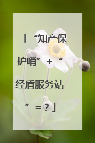 “知产保护哨”+“经盾服务站”=？