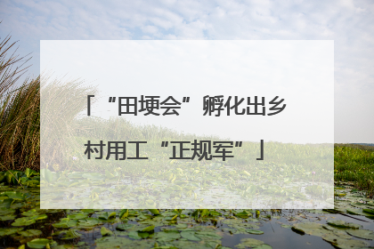 “田埂会”孵化出乡村用工“正规军”