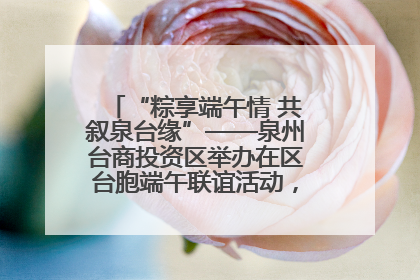 “粽享端午情 共叙泉台缘”——泉州台商投资区举办在区台胞端午联谊活动，共话同源深情