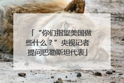 “你们指望美国做些什么？”央视记者提问巴勒斯坦代表