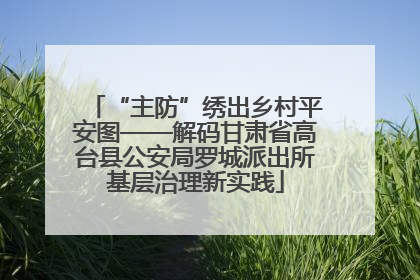“主防”绣出乡村平安图——解码甘肃省高台县公安局罗城派出所基层治理新实践