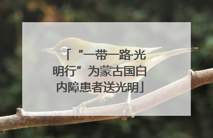 “一带一路·光明行”为蒙古国白内障患者送光明