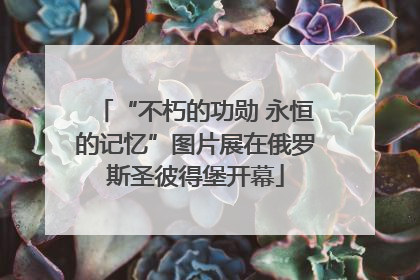 “不朽的功勋 永恒的记忆”图片展在俄罗斯圣彼得堡开幕
