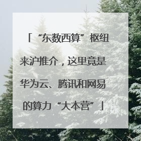 “东数西算”枢纽来沪推介，这里竟是华为云、腾讯和网易的算力“大本营”