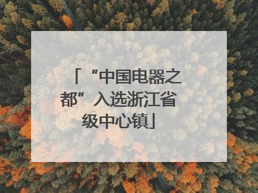 “中国电器之都”入选浙江省级中心镇