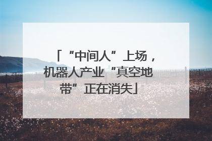 “中间人”上场，机器人产业“真空地带”正在消失