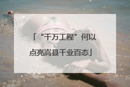 “千万工程”何以点亮嵩县千业百态