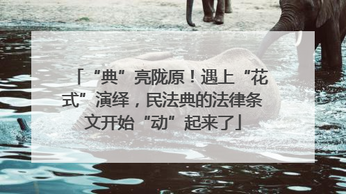 “典”亮陇原！遇上“花式”演绎，民法典的法律条文开始“动”起来了