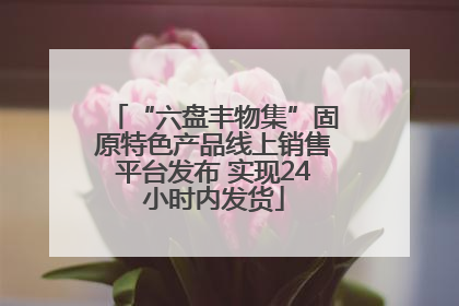 “六盘丰物集”固原特色产品线上销售平台发布 实现24小时内发货