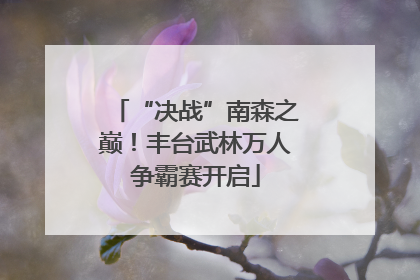 “决战”南森之巅！丰台武林万人争霸赛开启