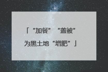 “加餐”“盖被” 为黑土地“增肥”