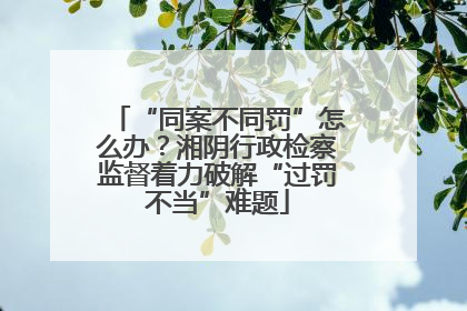 “同案不同罚”怎么办？湘阴行政检察监督着力破解“过罚不当”难题