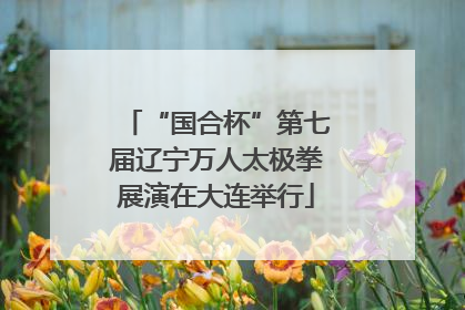 “国合杯”第七届辽宁万人太极拳展演在大连举行