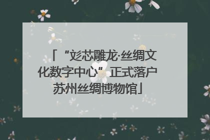 “彣芯雕龙·丝绸文化数字中心”正式落户苏州丝绸博物馆
