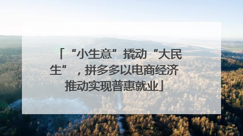 “小生意”撬动“大民生”，拼多多以电商经济推动实现普惠就业