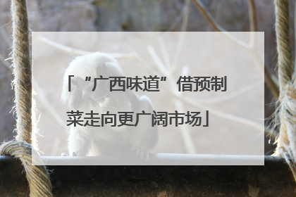 “广西味道”借预制菜走向更广阔市场