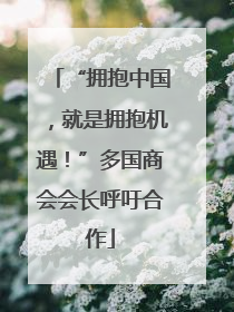 “拥抱中国，就是拥抱机遇！”多国商会会长呼吁合作