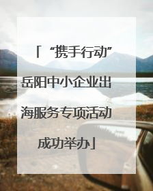 “携手行动”岳阳中小企业出海服务专项活动成功举办