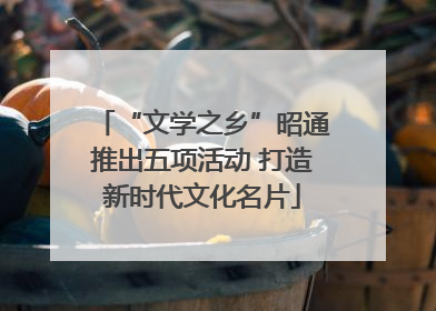 “文学之乡”昭通推出五项活动 打造新时代文化名片