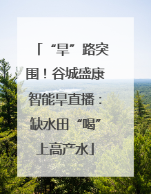 “旱”路突围！谷城盛康智能旱直播：缺水田“喝”上高产水