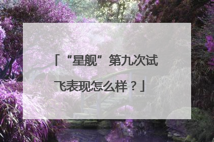 “星舰”第九次试飞表现怎么样？