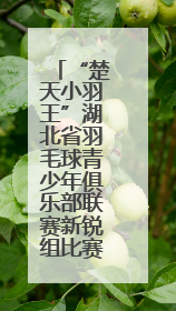 “楚天小羽王”湖北省羽毛球青少年俱乐部联赛新锐组比赛圆满落幕