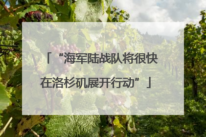 “海军陆战队将很快在洛杉矶展开行动”