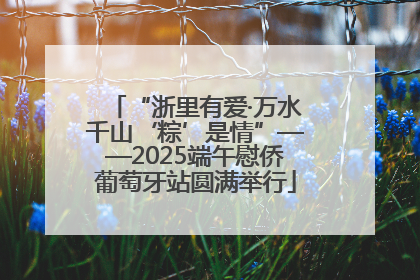 “浙里有爱·万水千山‘粽’是情”——2025端午慰侨葡萄牙站圆满举行