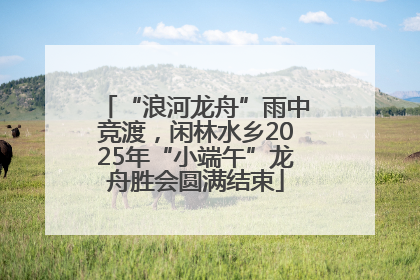 “浪河龙舟”雨中竞渡，闲林水乡2025年“小端午”龙舟胜会圆满结束