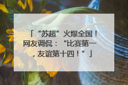 “苏超”火爆全国！网友调侃：“比赛第一，友谊第十四！”