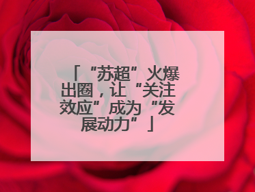 “苏超”火爆出圈，让“关注效应”成为“发展动力”