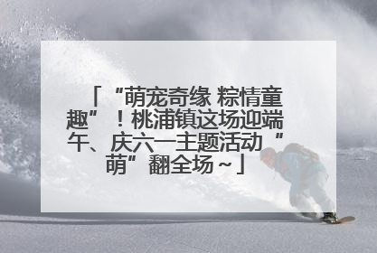 “萌宠奇缘 粽情童趣”！桃浦镇这场迎端午、庆六一主题活动“萌”翻全场～