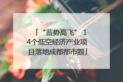 “蓄势高飞” 14个低空经济产业项目落地成都都市圈