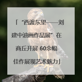 “西渡东望——刘建中油画作品展”在商丘开展 60余幅佳作展现艺术魅力