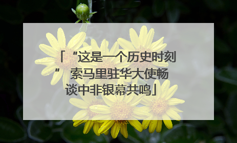 “这是一个历史时刻” 索马里驻华大使畅谈中非银幕共鸣