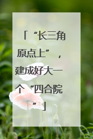 “长三角原点上”，建成好大一个“四合院”