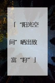 “阳光空间”晒出致富“籽”