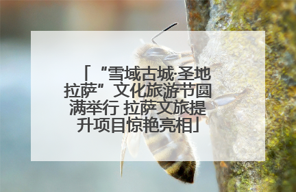 “雪域古城·圣地拉萨”文化旅游节圆满举行 拉萨文旅提升项目惊艳亮相