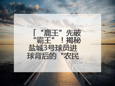 “鹿王”先破“霸王”！揭秘盐城3号球员进球背后的“农民街游侠”联盟